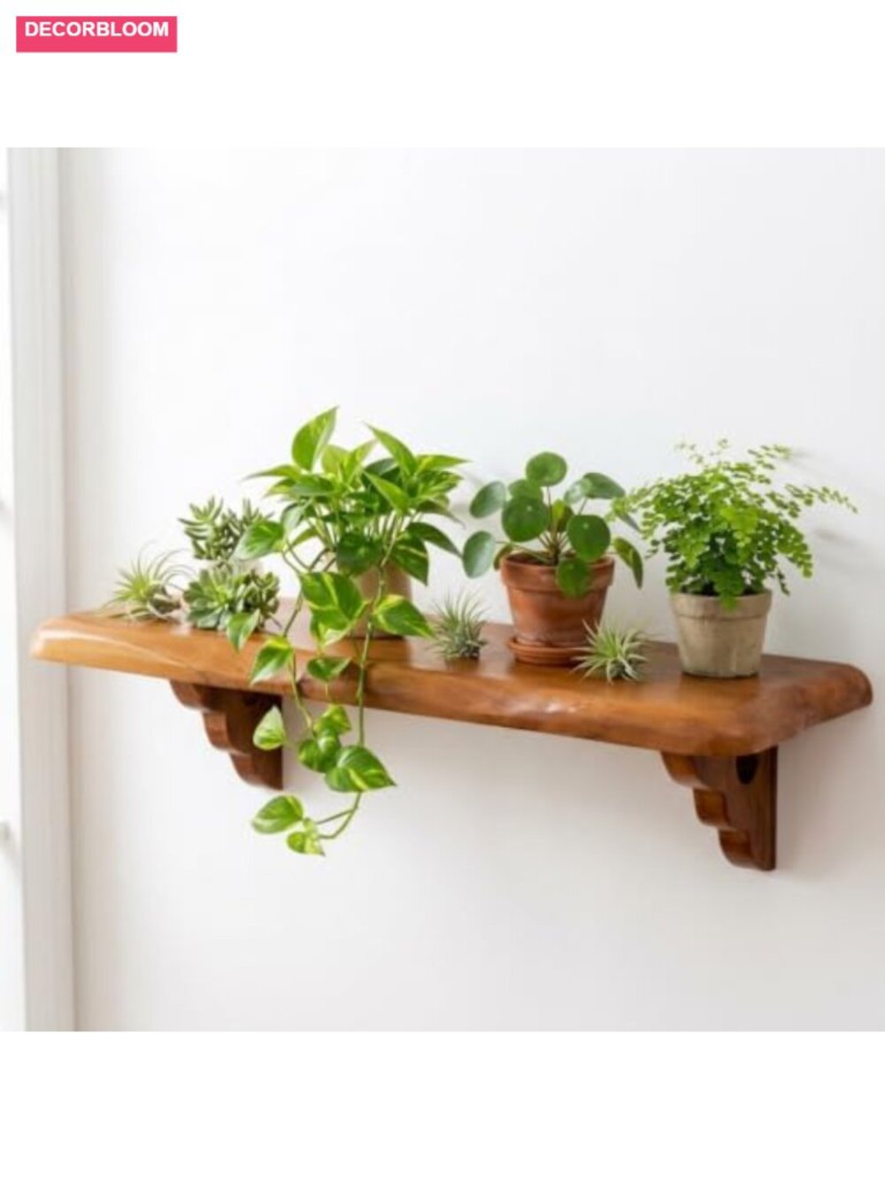 36" Live Edge Teak Wood Wall Shelf with Solid Wood Brackets